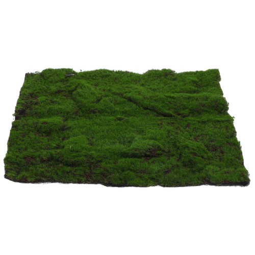 Tapis extérieur vert - tapis,