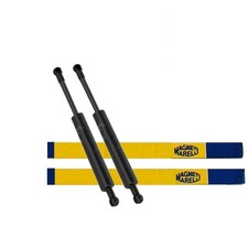 2x vérins à gaz pour capot