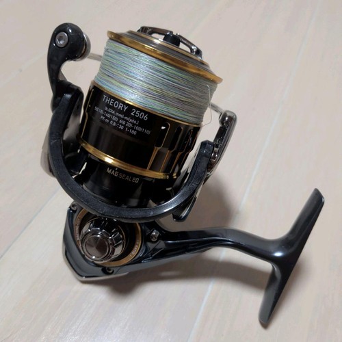 Daiwa theory 2506 - theory,