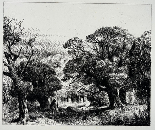 Braconnier bois adolphe - au,