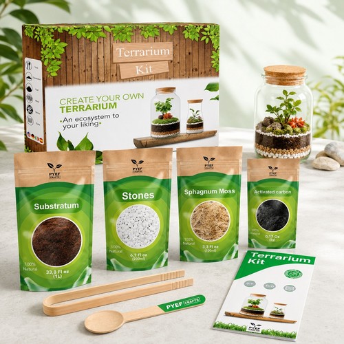 Terrarium kit diy - |, complete