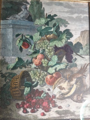 Gravure ancienne aquarellée