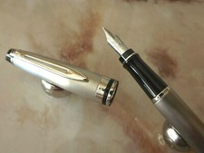 MAGNIFIQUE STYLO PLUME