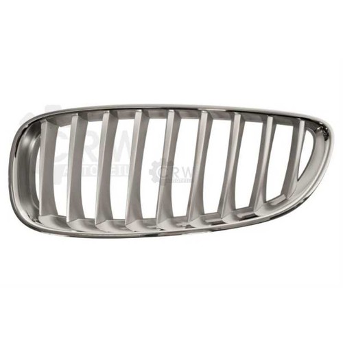 Grille radiateur titan mat - de,