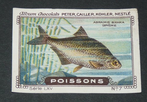 Chromo peter cailler - chromo,