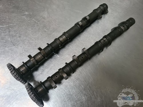 Paire arbre came suzuki - d'arbre,