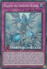 Yu-Gi-Oh! Majesté des Dragons Blancs : SR SDWD-FR027