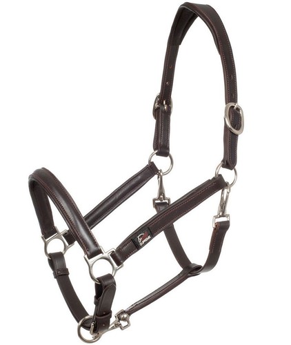 Licou ergonomique cuir - licou,