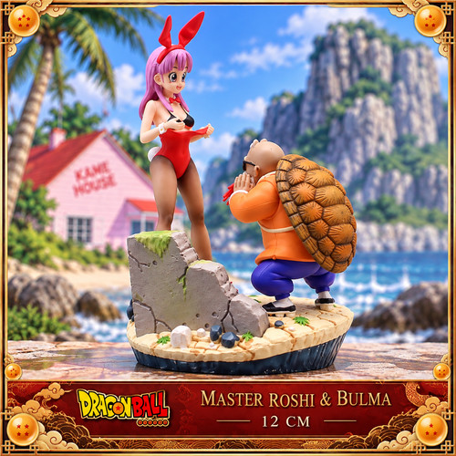 Figurines dragon ball - 🐢✨,