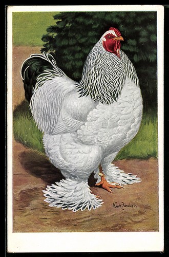 Carte postale artiste - carte,