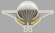 STICKER INSIGNE SPECIAL PARE BRISE ARMEE BREVET PARACHUTISTE AUTOCOLLANT PE020