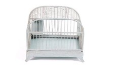 Ancien cage oiseaux avec - oiseaux,