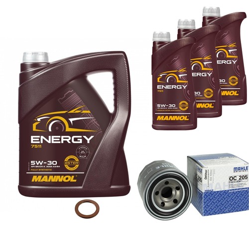 Inspection set energy - energy, 5w-30