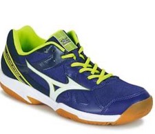 Baskets Mizuno Cyclone Speed Pointure 46