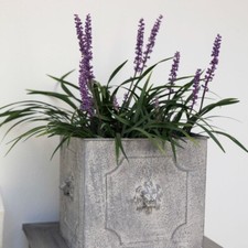 pot de fleurs / jardinière carrée avec des lions en métal patiné