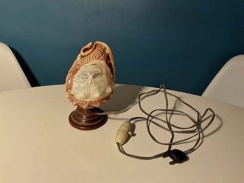 Lampe veilleuse coquillage - veilleuse,