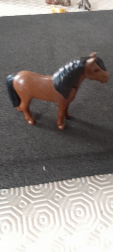 Animal poney centre equestre - animal,