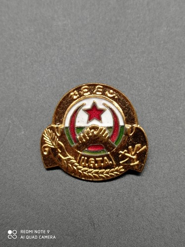 Insigne politique syndicat - insigne,
