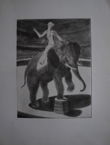 Gravure spectacle elephant - gravure,