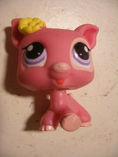 Hasbro Littlest PetShop PET