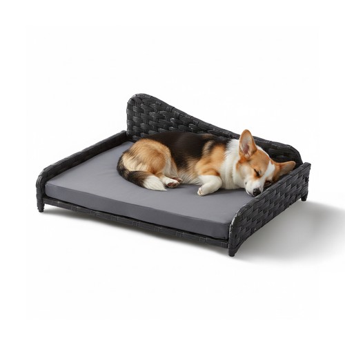 Lit pour chien - ,, canapé