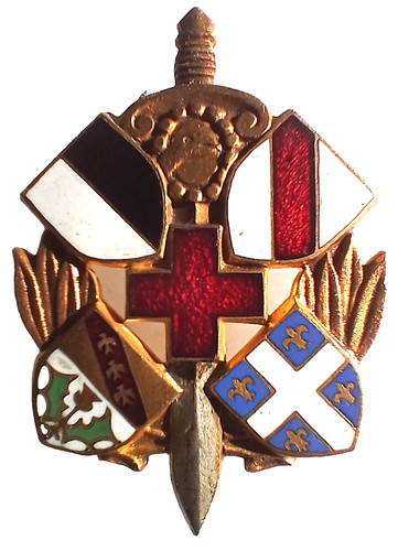 Insigne service sante san - service,