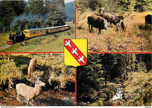 Carte postale - 57,