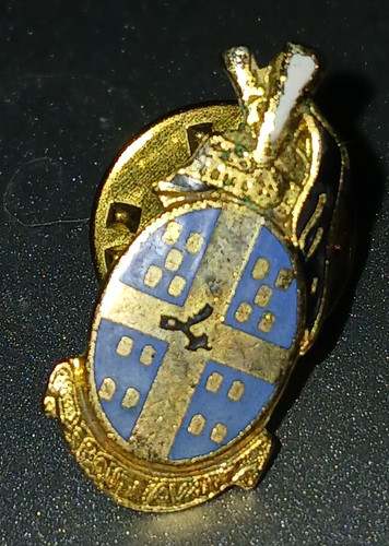 Pin insigne réduit - pin's,