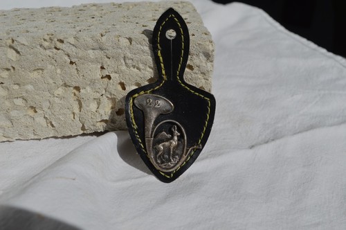 Insigne militaire 22ème
