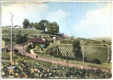 CP 24 Dordogne - Monbazillac -