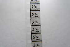 Film d'animation LA POULE AUX OEUFS D'OR (Popeye) - Pellicule 8 mm cinéma