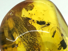 Pendentif Ambre Baltique 2