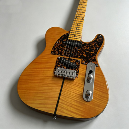 Guitare électrique chevalet - guitare,