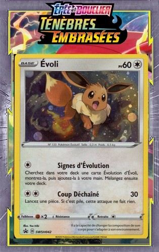 Evoli holo promo epée - evoli, et