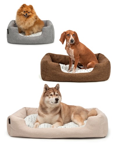 Lionto lit confortable pour - lionto,