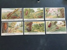 Chromos Découpis Images