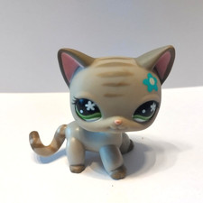 figurine PETSHOP  original  chat européen 483 short hair  pet shop LPS