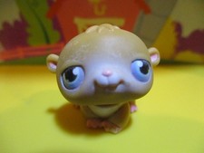 Petshop hamster avec - hamster,
