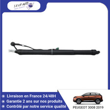 🇫🇷 VERIN HAYON D PEUGEOT