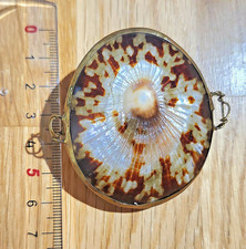 Jolie boite à bijoux coquillage vintage