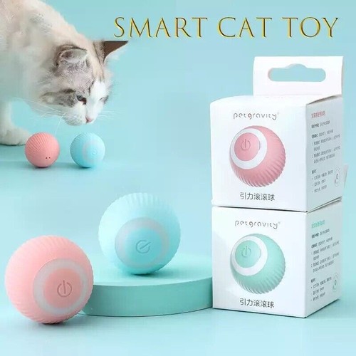 Jouet interactif pour chat - jouet,