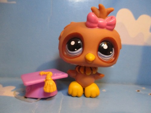 Petshop chouette hibou - petshop, /