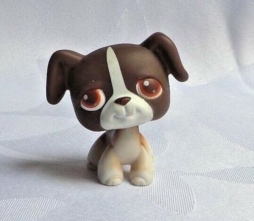 Littlest petshop bis - petshop, /