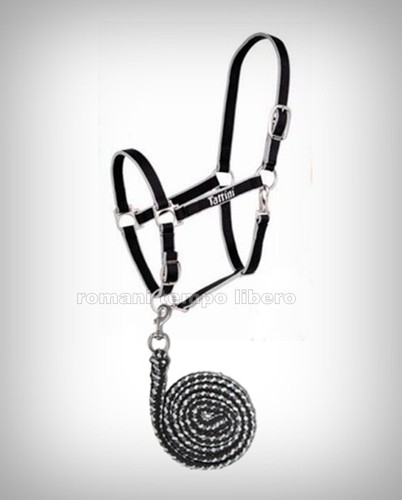 Licol nylon avec longe - en,
