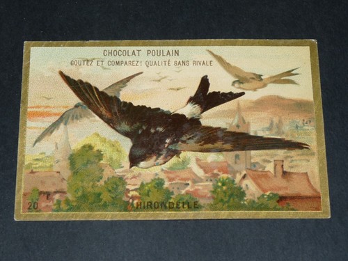 Chromo 1885 1910 chocolat - chromo, 1885-1910