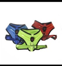 Harnais LED Lumineux Chien