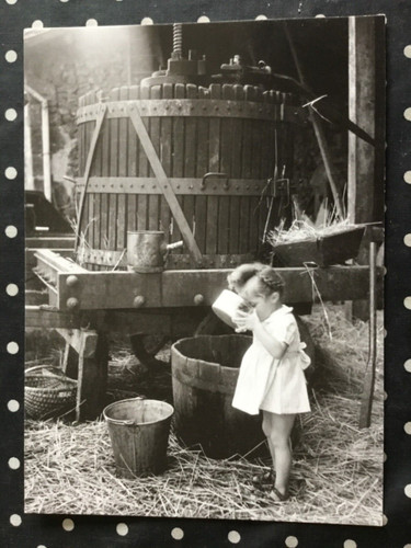 Carte photo de r - 13, cm