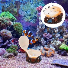 Ornement Coquillage Résine