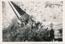 Photo Wehrmacht Soldats