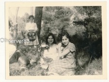 Vintage photo - 3 young pretty women and man having fun in woods